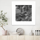 First Frost II by Jean-François Dupuis on GIANT ART - white black & white reflection