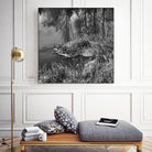 First Frost II by Jean-François Dupuis on GIANT ART - white black & white reflection