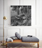 First Frost II by Jean-François Dupuis on GIANT ART - white black & white reflection