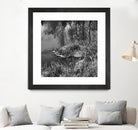 First Frost II by Jean-François Dupuis on GIANT ART - white black & white reflection