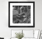 First Frost II by Jean-François Dupuis on GIANT ART - white black & white reflection