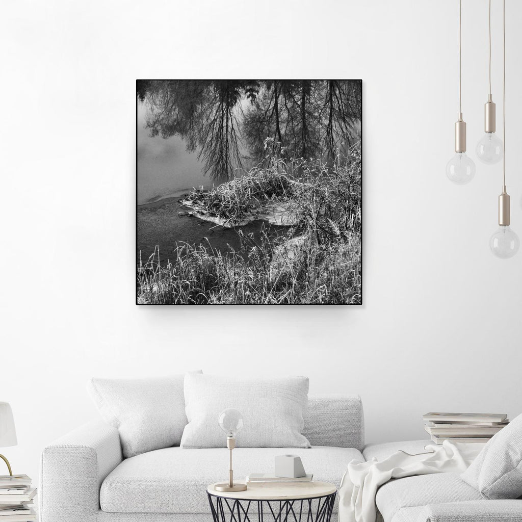 First Frost II by Jean-François Dupuis on GIANT ART - white black & white reflection