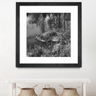 First Frost II by Jean-François Dupuis on GIANT ART - white black & white reflection