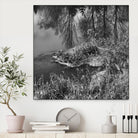 First Frost II by Jean-François Dupuis on GIANT ART - white black & white reflection