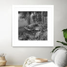 First Frost II by Jean-François Dupuis on GIANT ART - white black & white reflection