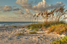 Indialantic 2 by Rene Griffith on GIANT ART - beige costal sand