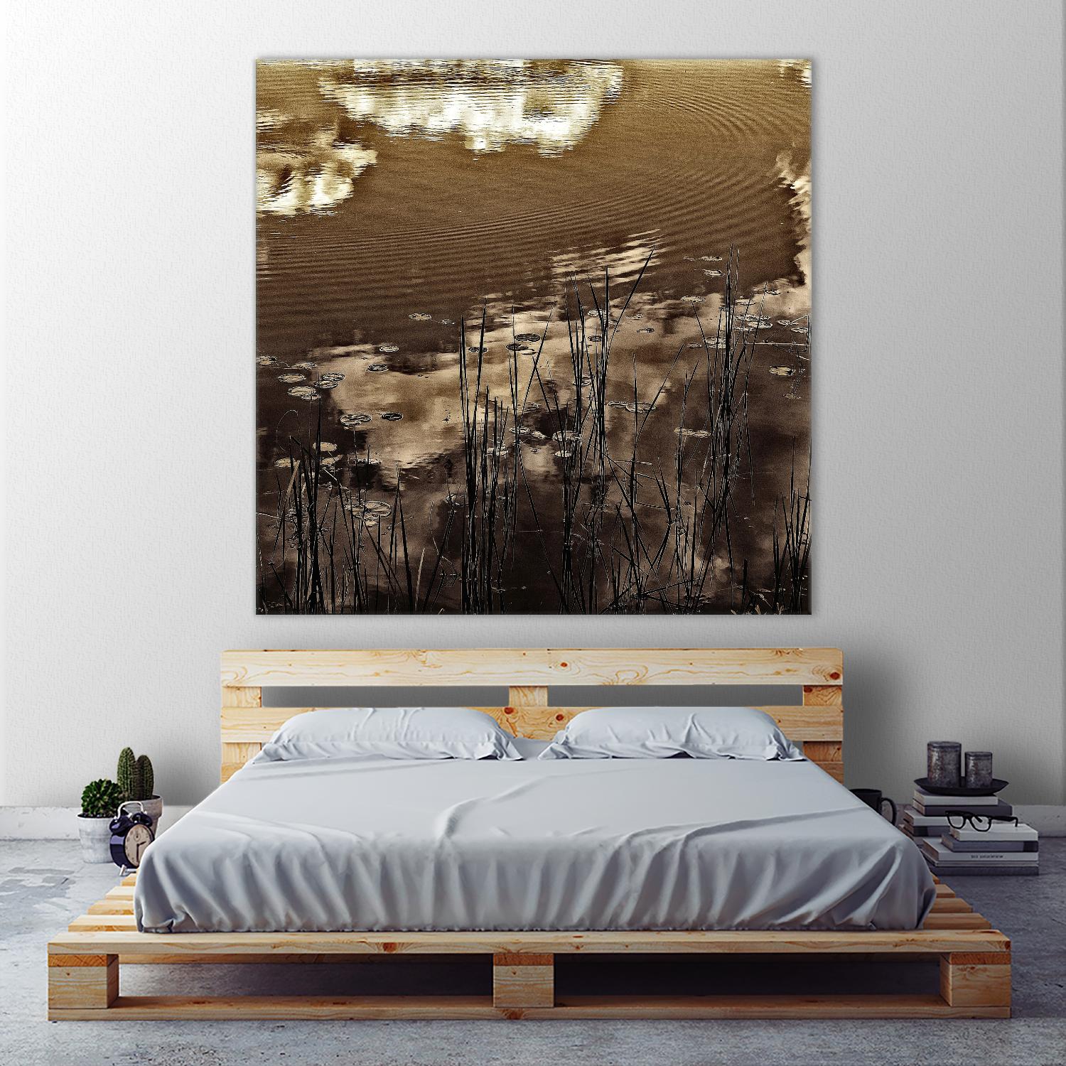 Infrared pond 11 by Jean-François Dupuis on GIANT ART - black botany marécage