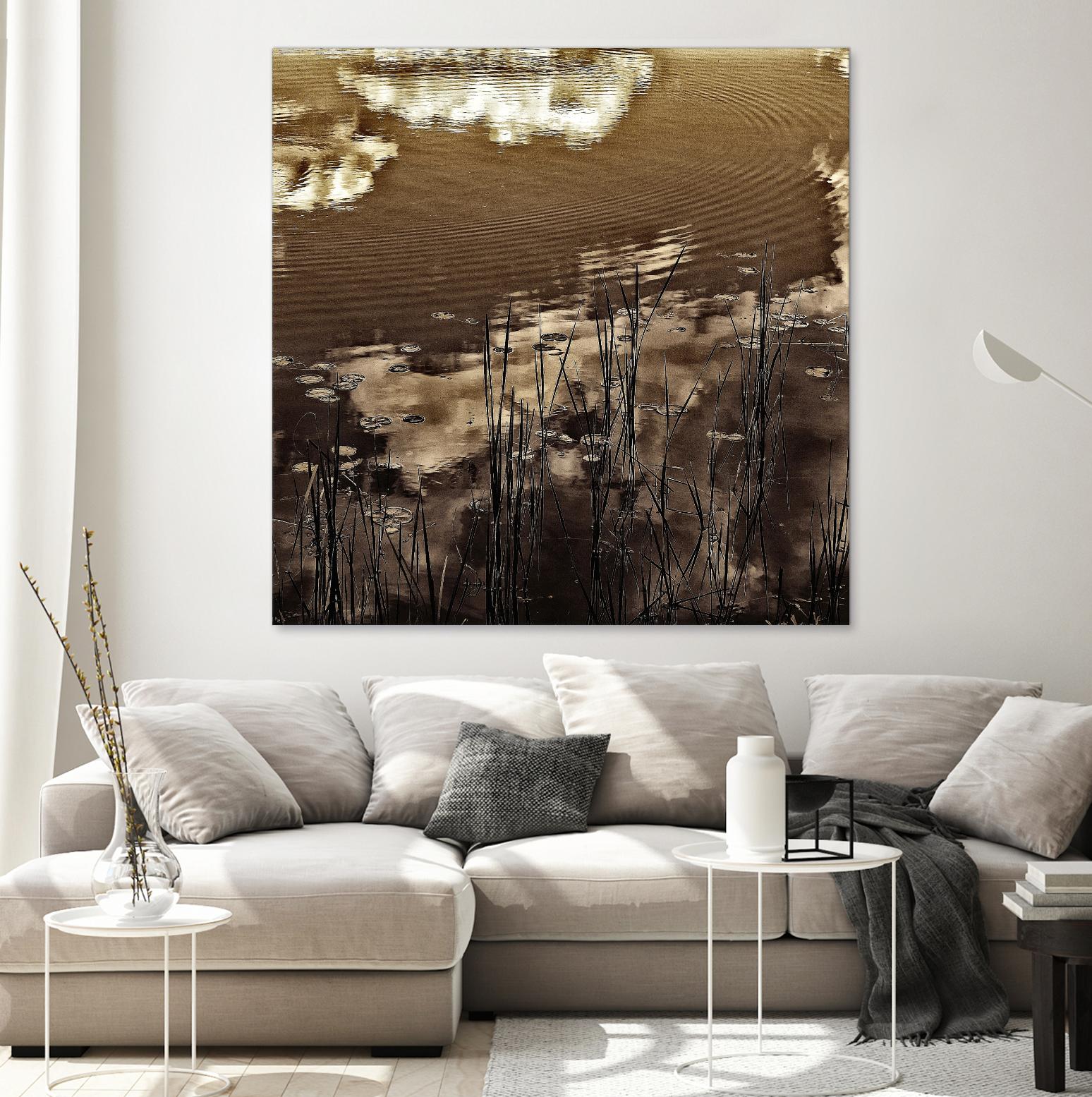 Infrared pond 11 by Jean-François Dupuis on GIANT ART - black botany marécage