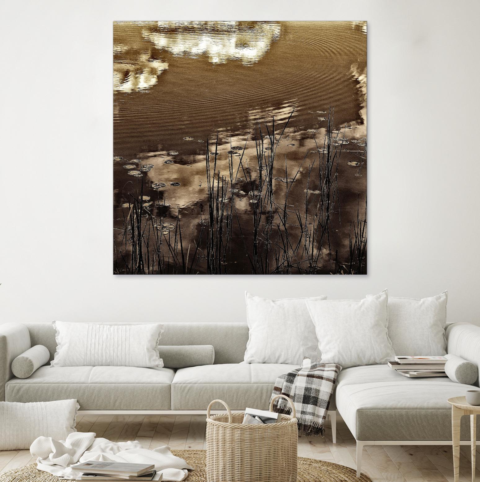 Infrared pond 11 by Jean-François Dupuis on GIANT ART - black botany marécage