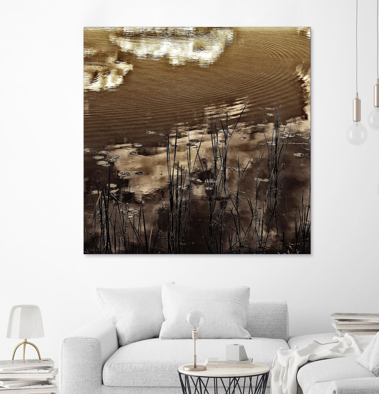 Infrared pond 11 by Jean-François Dupuis on GIANT ART - black botany marécage