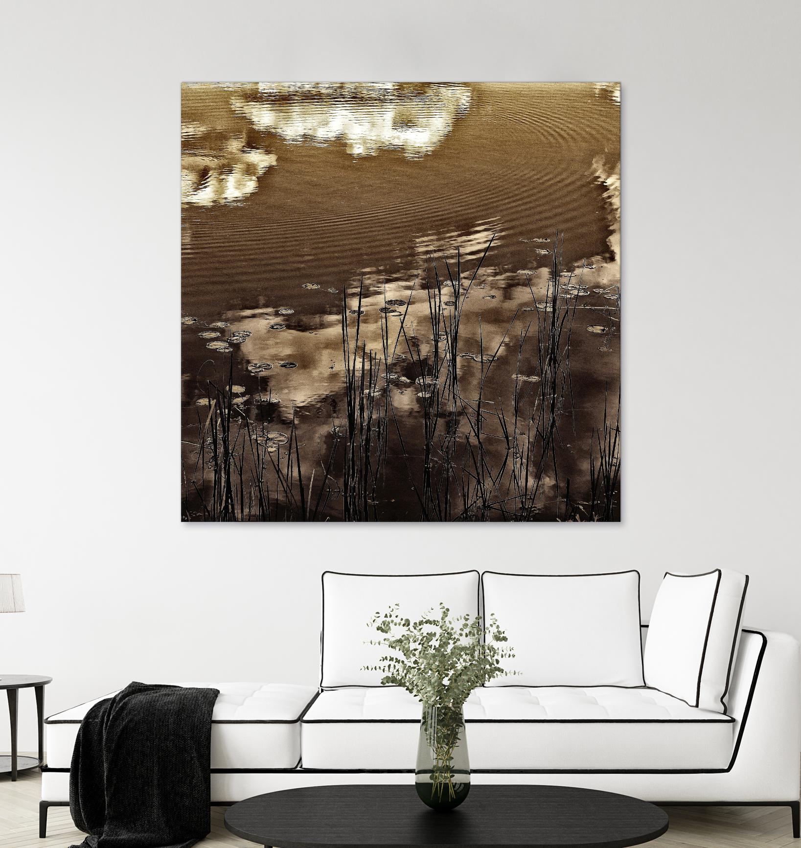 Infrared pond 11 by Jean-François Dupuis on GIANT ART - black botany marécage