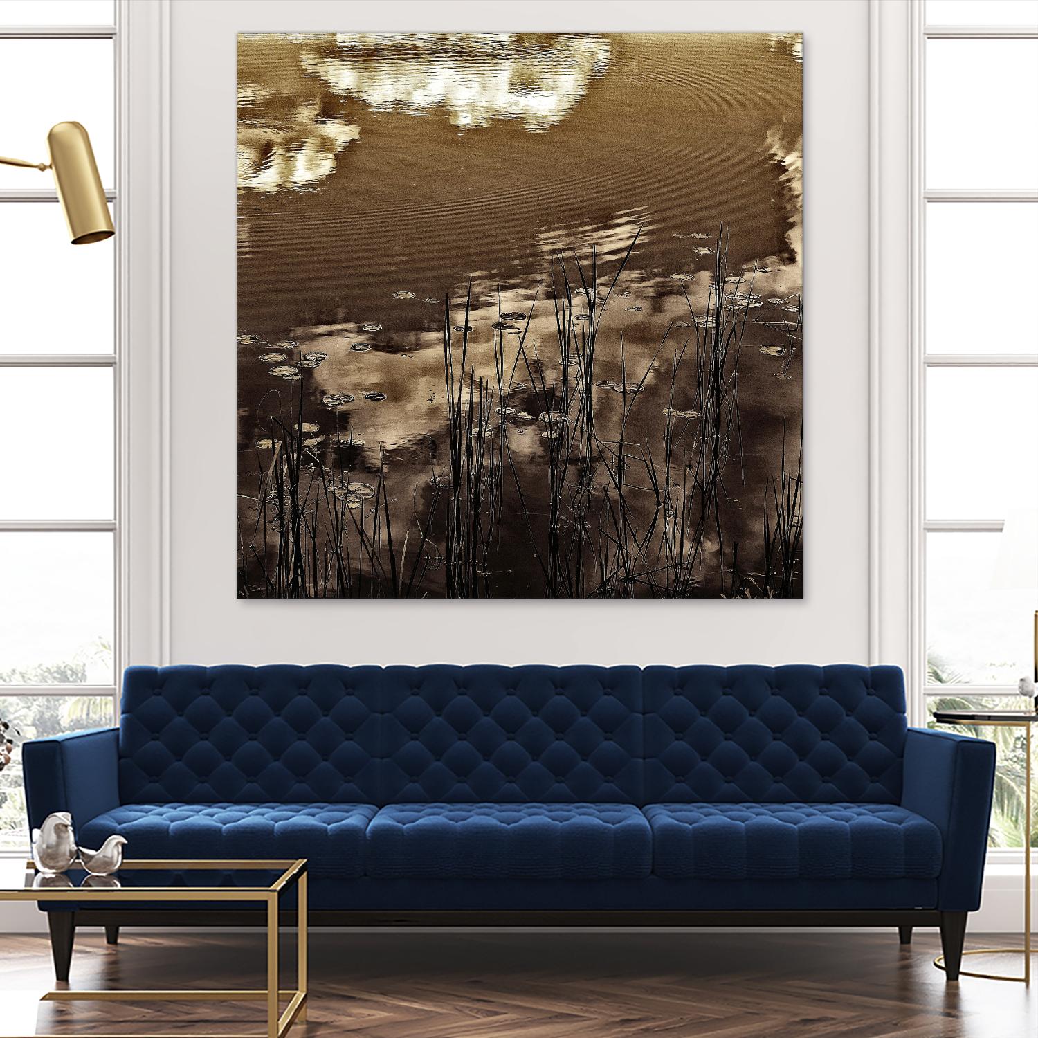 Infrared pond 11 by Jean-François Dupuis on GIANT ART - black botany marécage