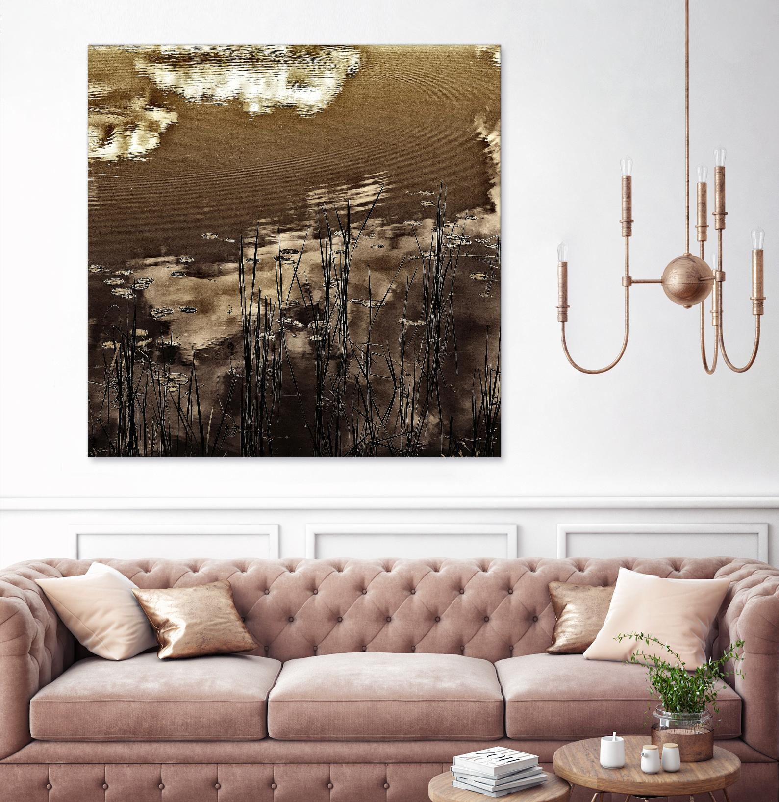 Infrared pond 11 by Jean-François Dupuis on GIANT ART - black botany marécage