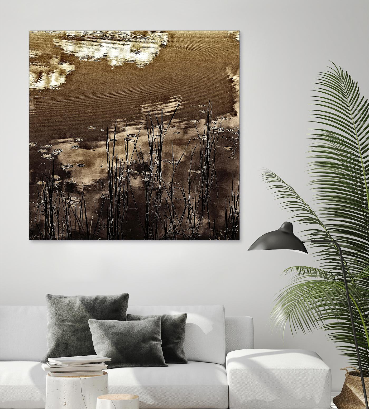 Infrared pond 11 by Jean-François Dupuis on GIANT ART - black botany marécage