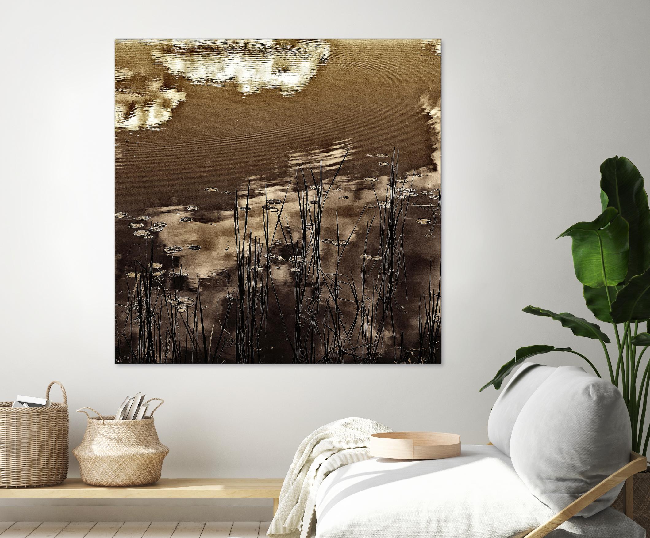 Infrared pond 11 by Jean-François Dupuis on GIANT ART - black botany marécage