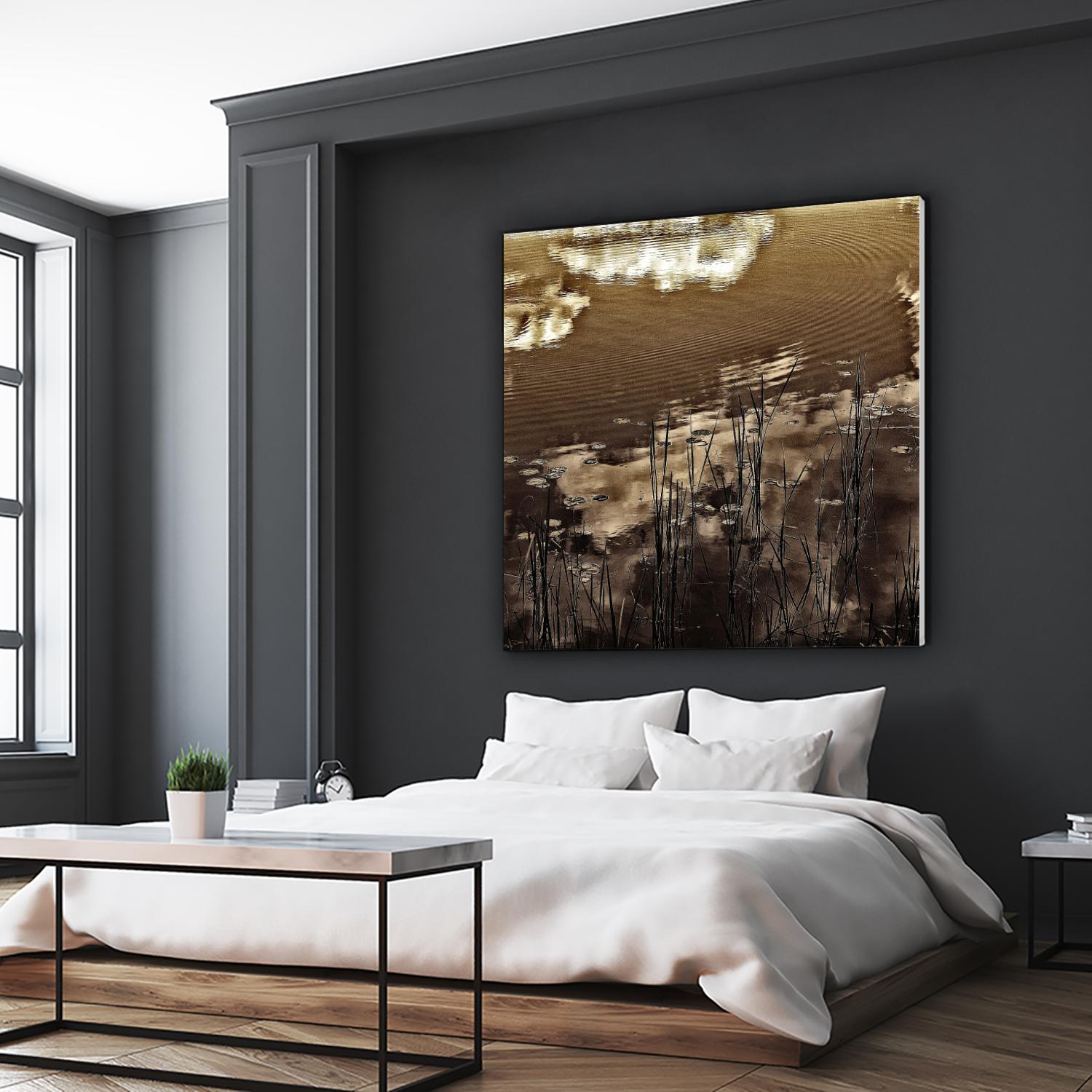 Infrared pond 11 by Jean-François Dupuis on GIANT ART - black botany marécage