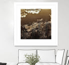 Infrared pond 11 by Jean-François Dupuis on GIANT ART - black botany marécage