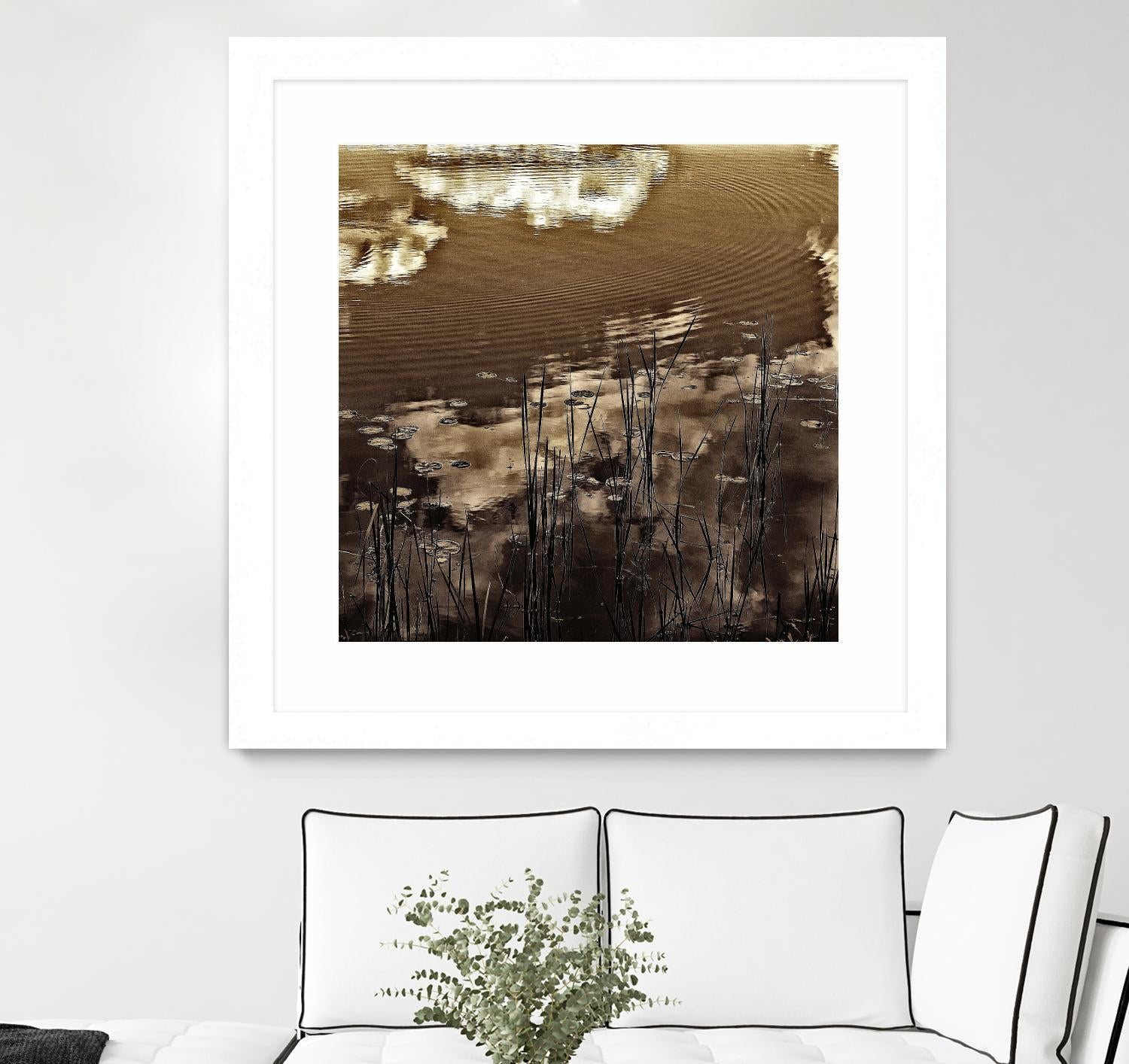 Infrared pond 11 by Jean-François Dupuis on GIANT ART - black botany marécage