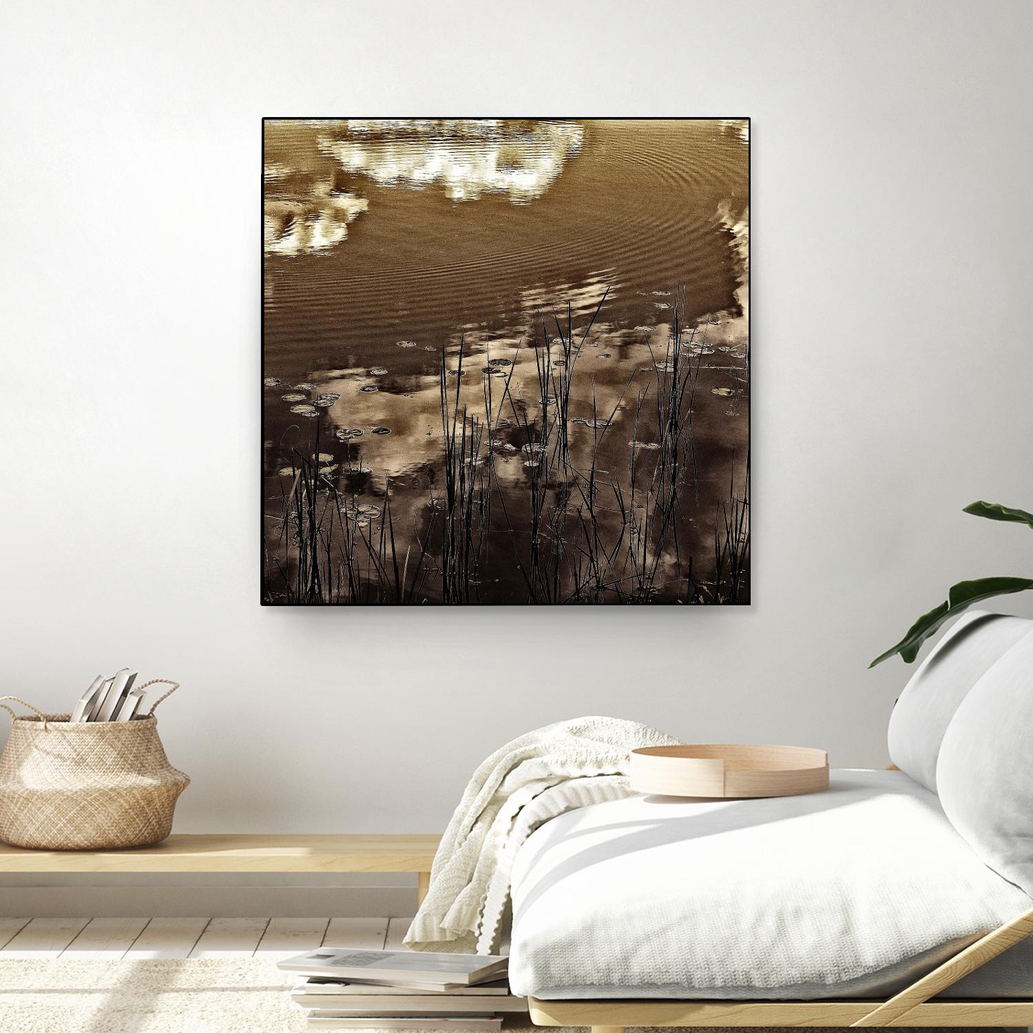 Infrared pond 11 by Jean-François Dupuis on GIANT ART - black botany marécage