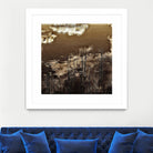 Infrared pond 11 by Jean-François Dupuis on GIANT ART - black botany marécage