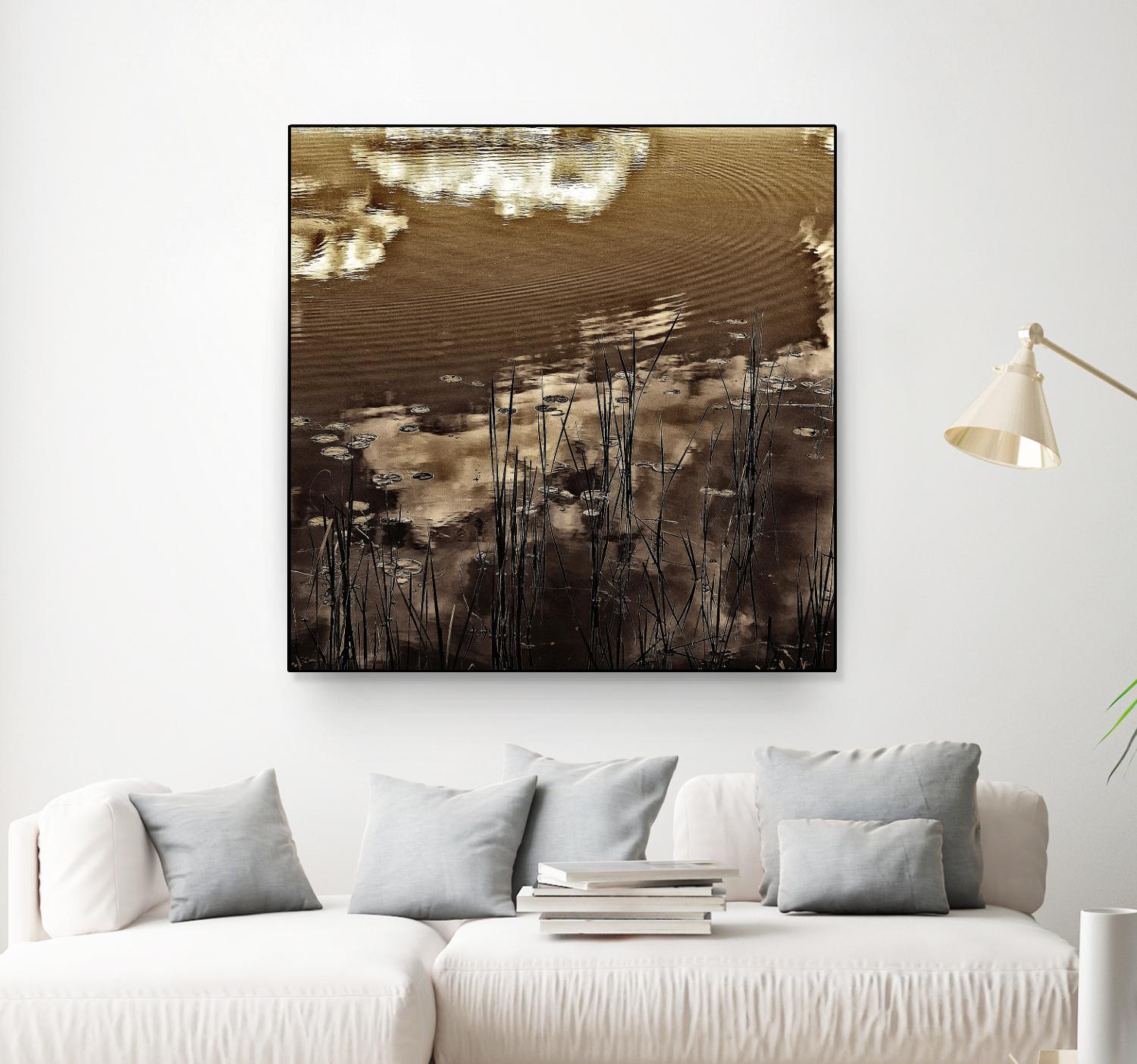 Infrared pond 11 by Jean-François Dupuis on GIANT ART - black botany marécage