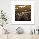 Infrared pond 11 by Jean-François Dupuis on GIANT ART - black botany marécage