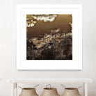 Infrared pond 11 by Jean-François Dupuis on GIANT ART - black botany marécage