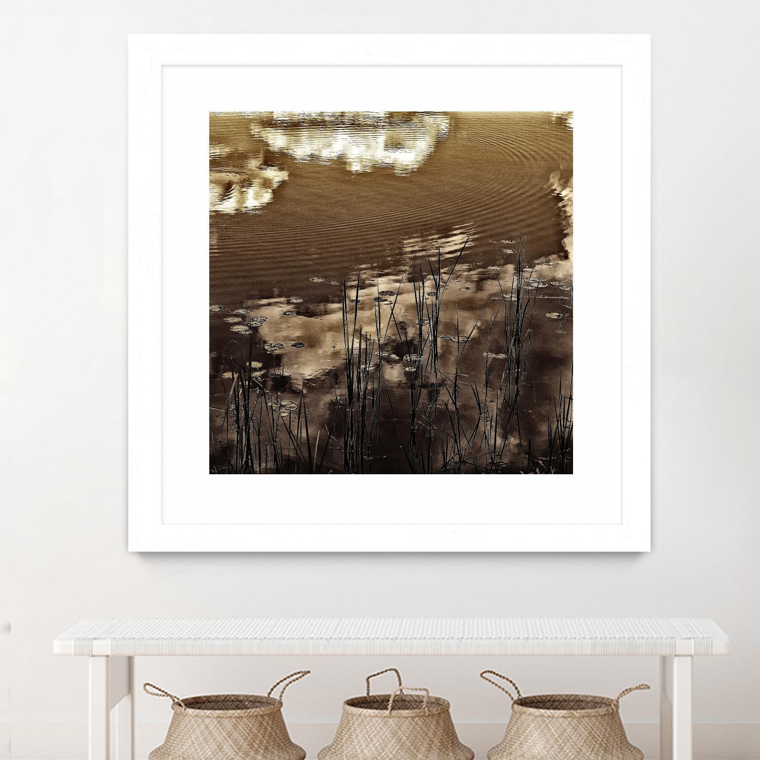 Infrared pond 11 by Jean-François Dupuis on GIANT ART - black botany marécage