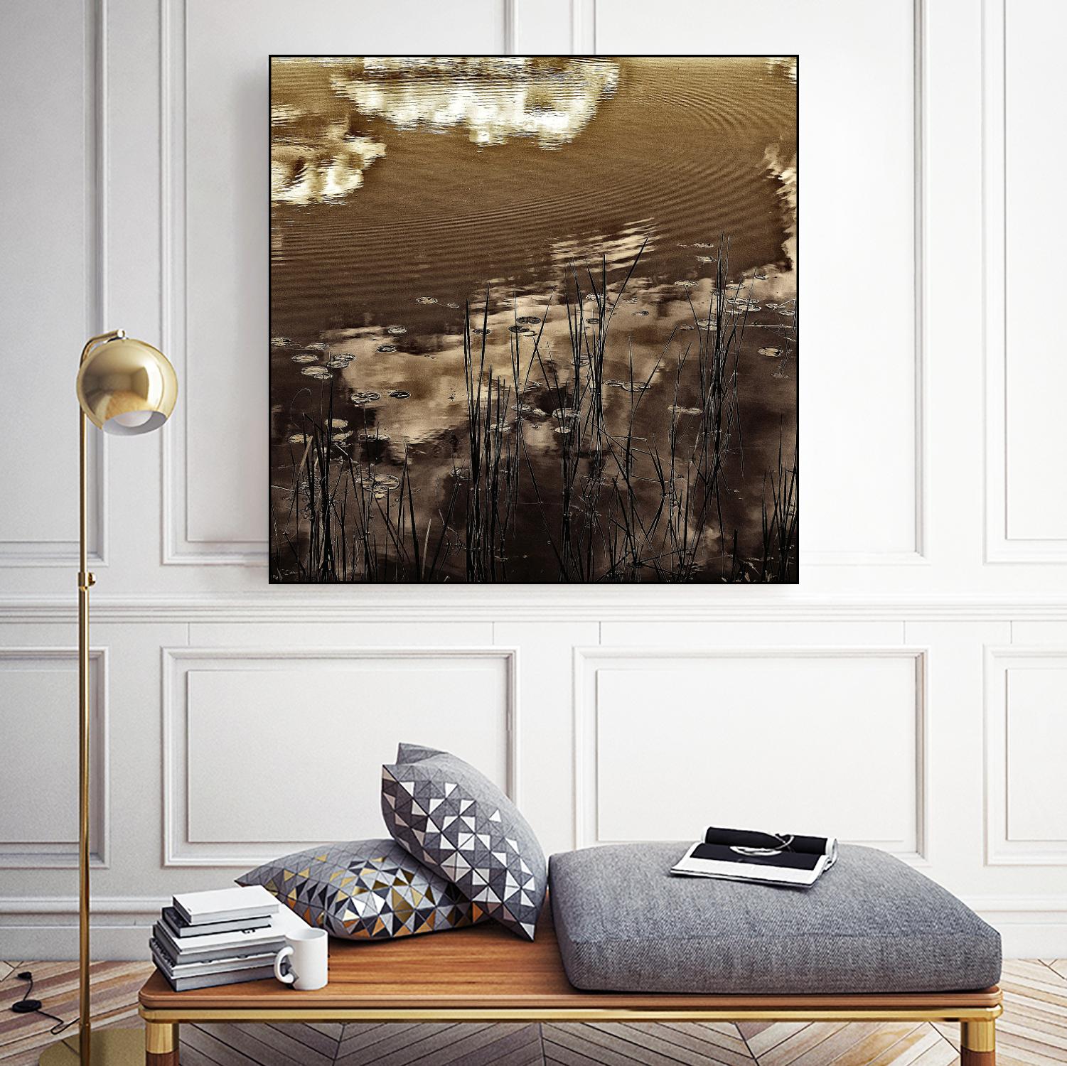 Infrared pond 11 by Jean-François Dupuis on GIANT ART - black botany marécage