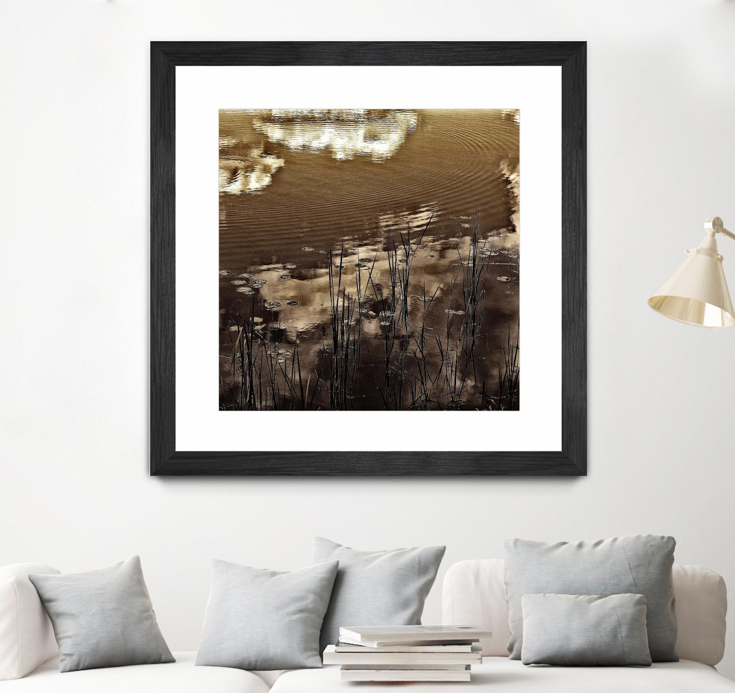 Infrared pond 11 by Jean-François Dupuis on GIANT ART - black botany marécage