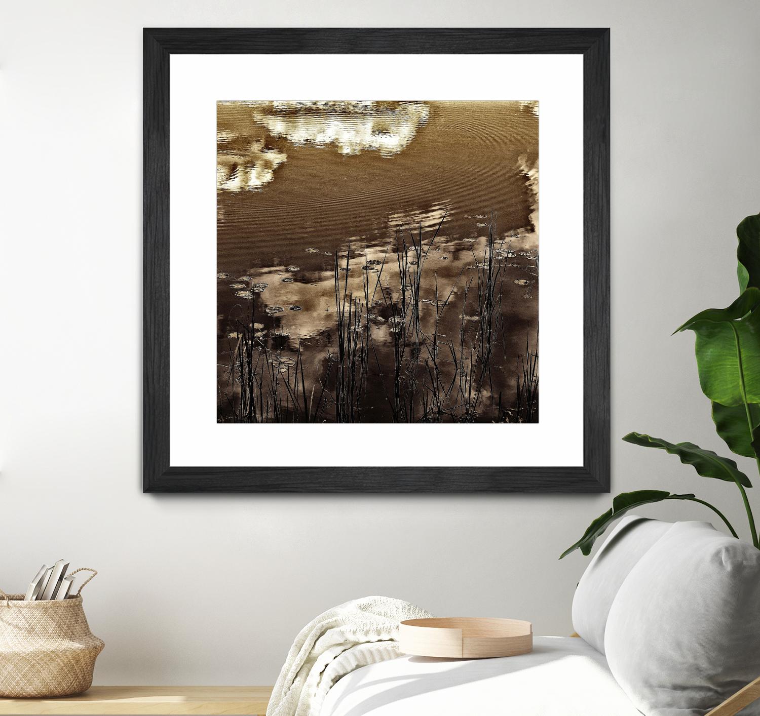 Infrared pond 11 by Jean-François Dupuis on GIANT ART - black botany marécage