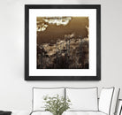 Infrared pond 11 by Jean-François Dupuis on GIANT ART - black botany marécage