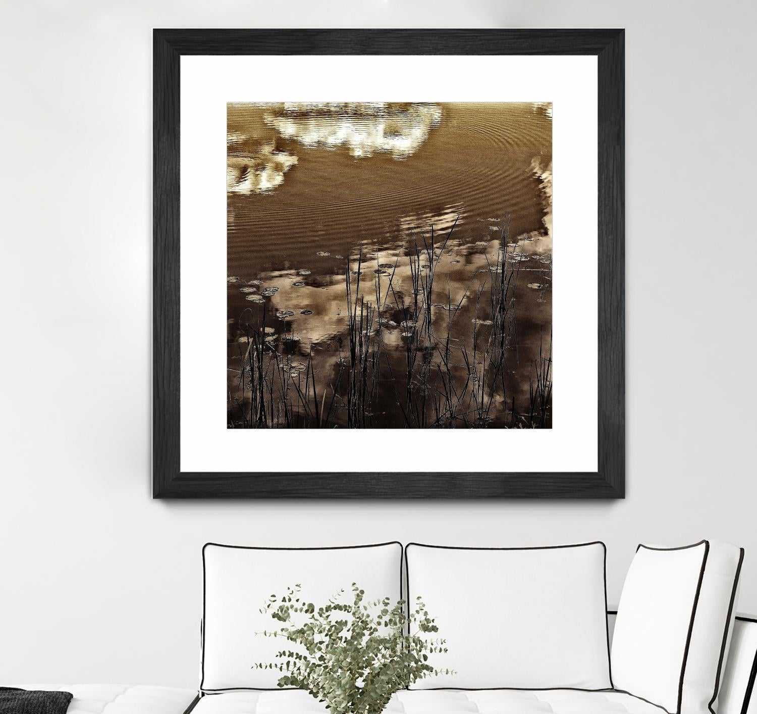 Infrared pond 11 by Jean-François Dupuis on GIANT ART - black botany marécage