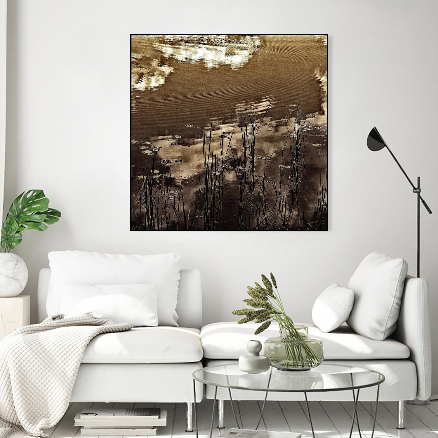 Infrared pond 11 by Jean-François Dupuis on GIANT ART - black botany marécage