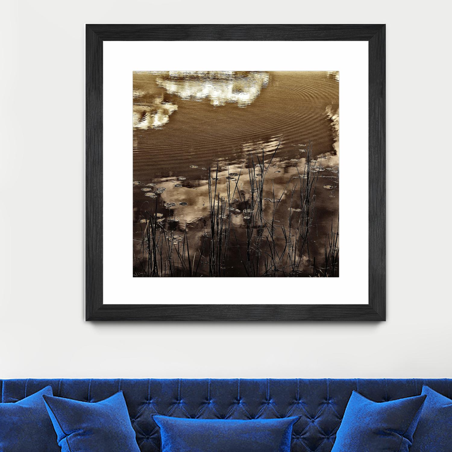 Infrared pond 11 by Jean-François Dupuis on GIANT ART - black botany marécage