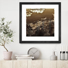 Infrared pond 11 by Jean-François Dupuis on GIANT ART - black botany marécage