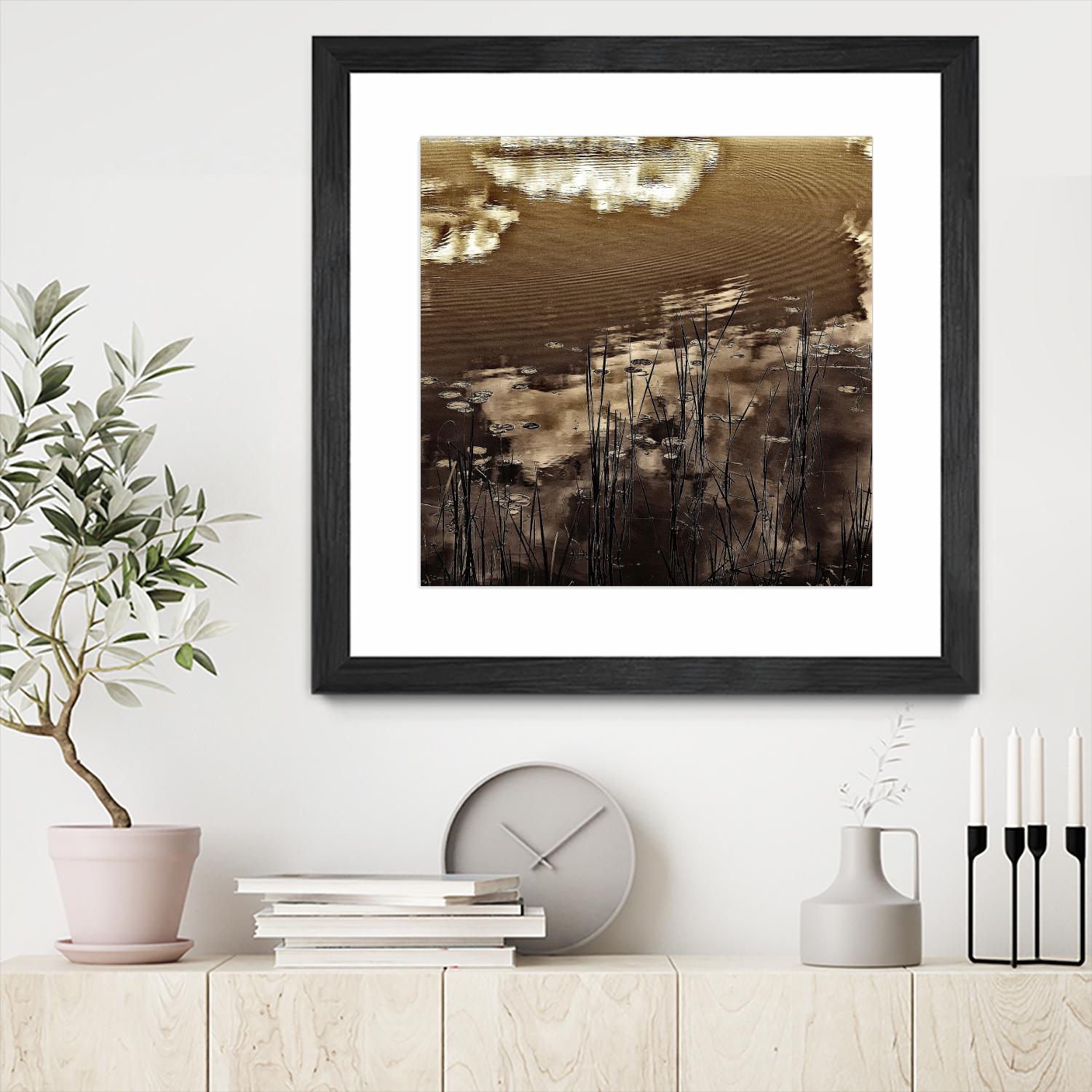 Infrared pond 11 by Jean-François Dupuis on GIANT ART - black botany marécage