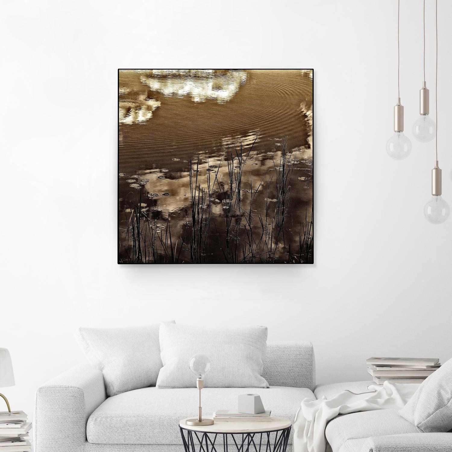 Infrared pond 11 by Jean-François Dupuis on GIANT ART - black botany marécage