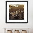 Infrared pond 11 by Jean-François Dupuis on GIANT ART - black botany marécage