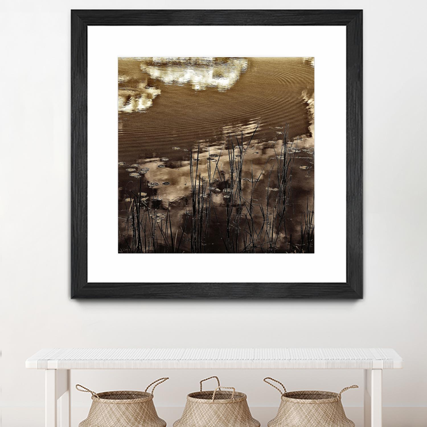 Infrared pond 11 by Jean-François Dupuis on GIANT ART - black botany marécage