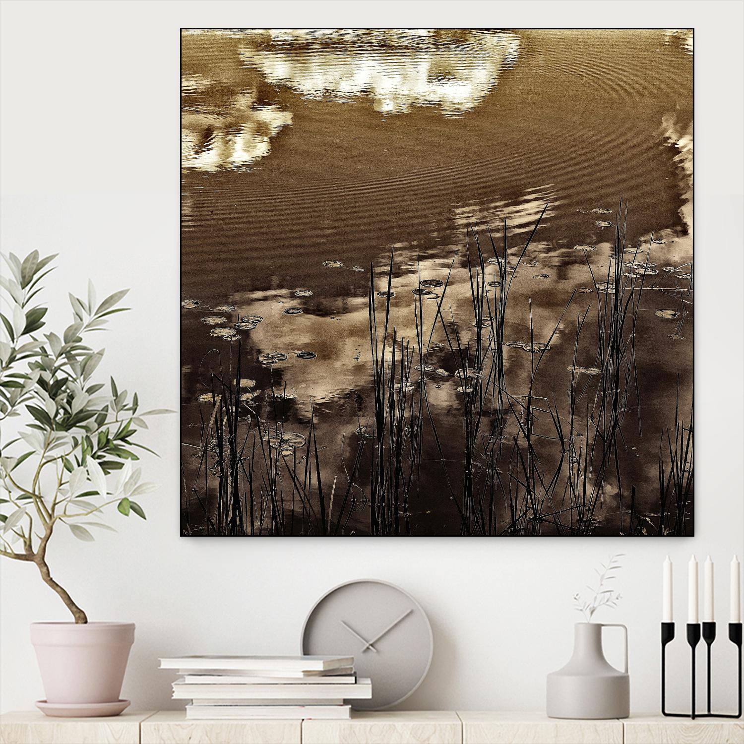 Infrared pond 11 by Jean-François Dupuis on GIANT ART - black botany marécage