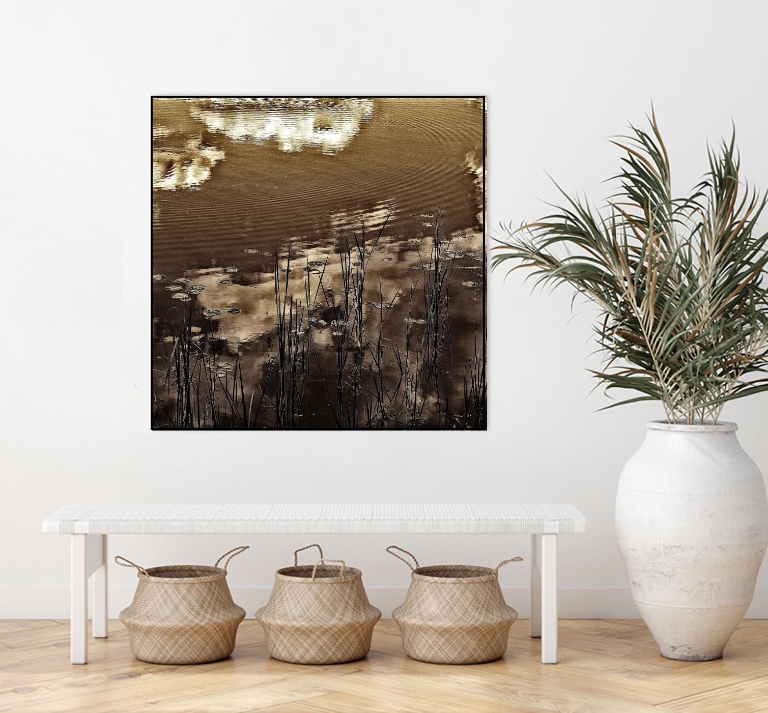 Infrared pond 11 by Jean-François Dupuis on GIANT ART - black botany marécage