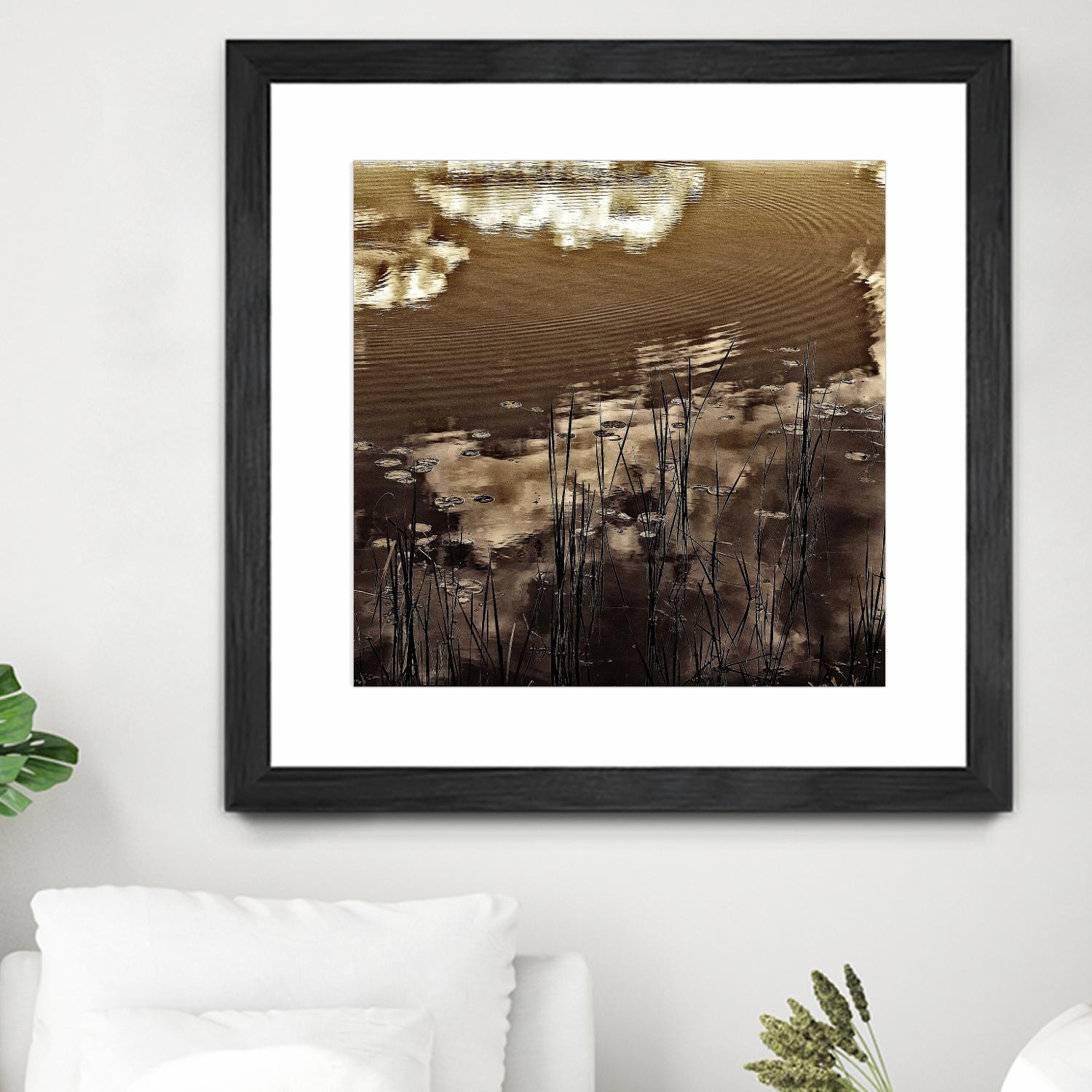 Infrared pond 11 by Jean-François Dupuis on GIANT ART - black botany marécage