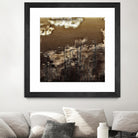 Infrared pond 11 by Jean-François Dupuis on GIANT ART - black botany marécage