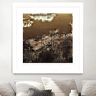 Infrared pond 11 by Jean-François Dupuis on GIANT ART - black botany marécage