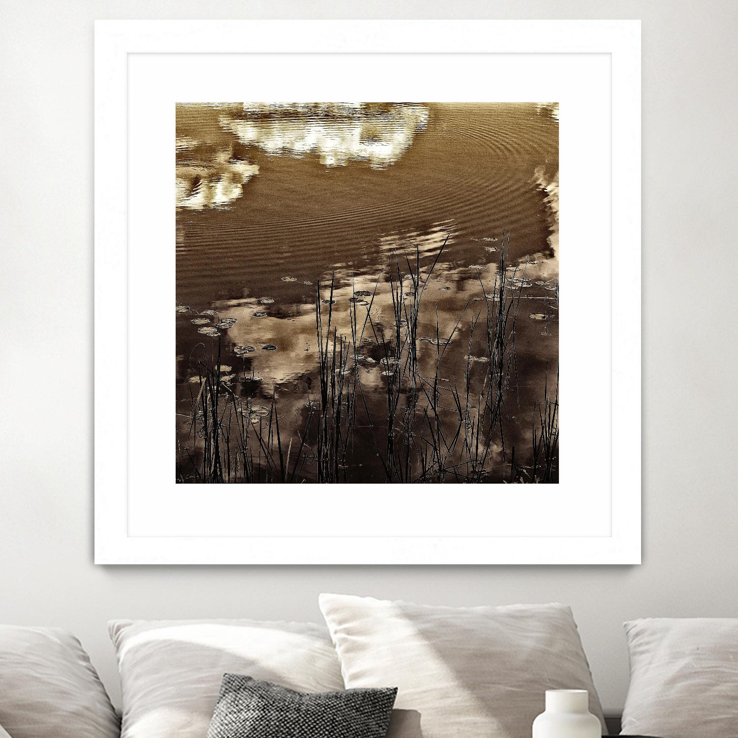 Infrared pond 11 by Jean-François Dupuis on GIANT ART - black botany marécage