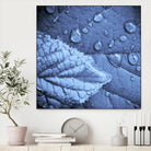 Attachement by Jean-François Dupuis on GIANT ART - blue photo art