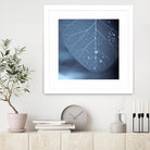 Tendresse by Jean-François Dupuis on GIANT ART - blue photo art