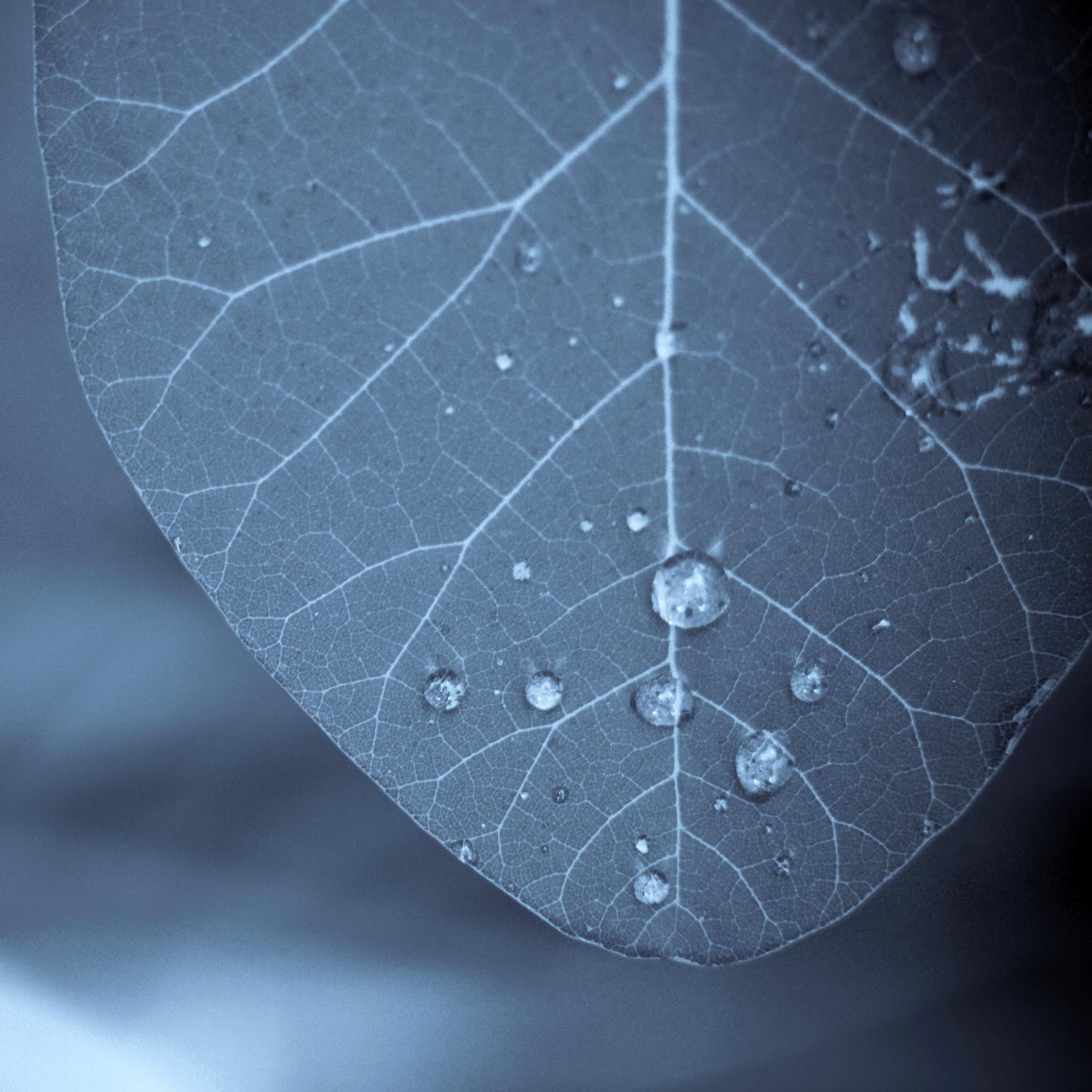 Tendresse de Jean-François Dupuis sur GIANT ART - art photo bleu