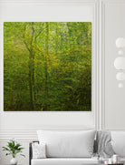 Natural Look VI by Jean-François Dupuis on GIANT ART - brown landscape